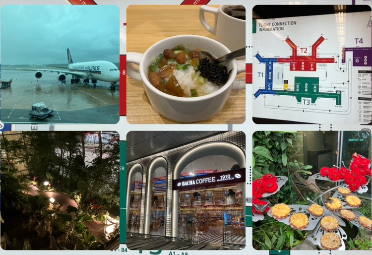 Five days to&nbsp;Camino