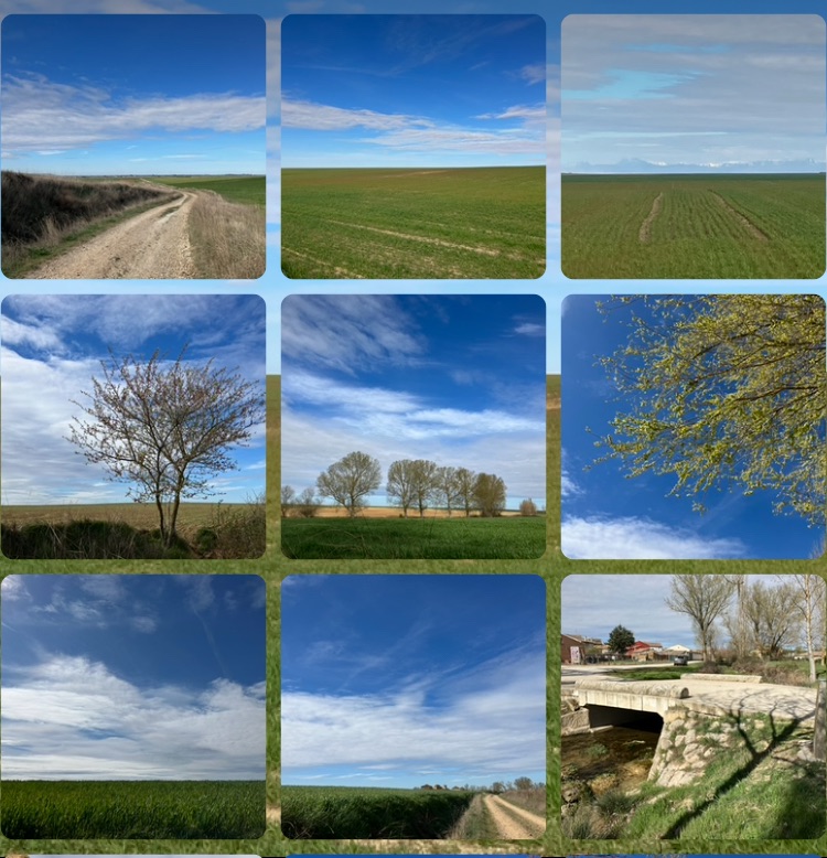 Camino Day 15 – Frómista